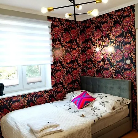 Orient וובה